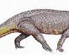 (傳說的古文明世界)巴西發現迅猛鱷完整化石 兩億年前稱霸地球(4P)