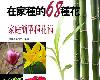 [植物百科] 阿嬤教你在家種的68種花／水草小盆栽 (PDF@216MB@KF/ML/FD/RF/UUⓂ@繁中)(2P)